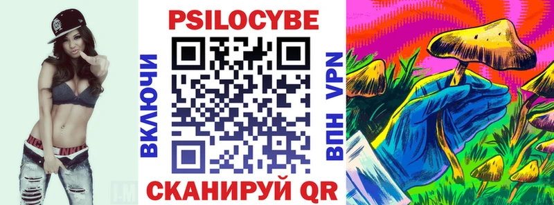 где купить наркотик  Куйбышев  Галлюциногенные грибы Psilocybe 