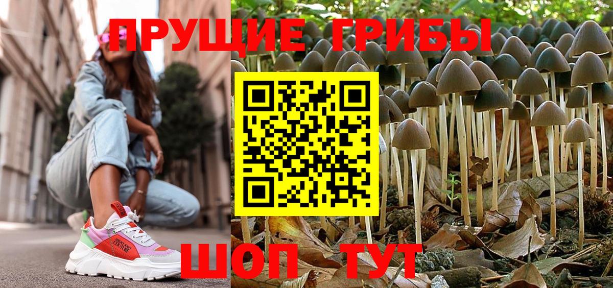 Галлюциногенные грибы мухоморы  Вход с VPN  Псилоцибиновые грибы Magic Shrooms  Куйбышев 